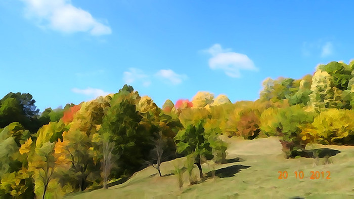 DSC01798 - cosminele toamna