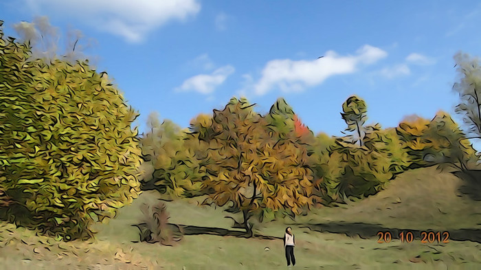 DSC01836 - cosminele toamna