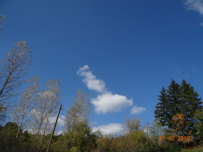 DSC01848 - cosminele toamna