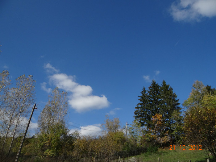 DSC01851 - cosminele toamna