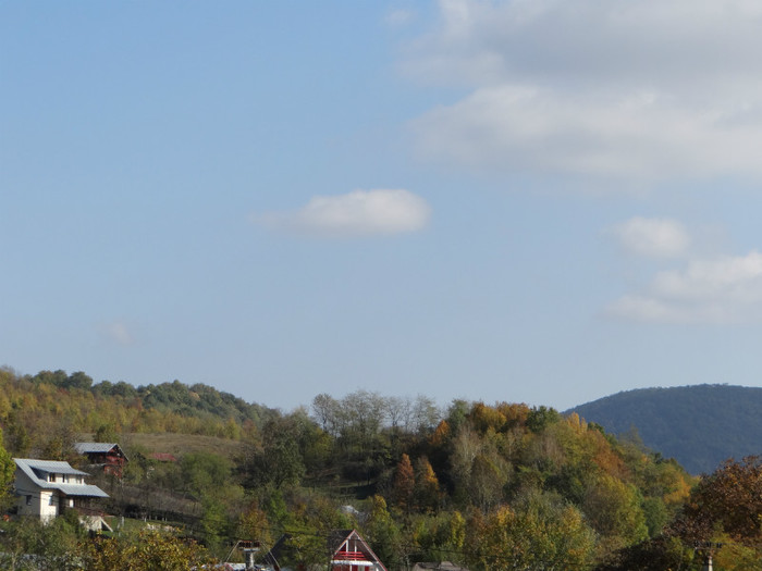 DSC01853 - cosminele toamna