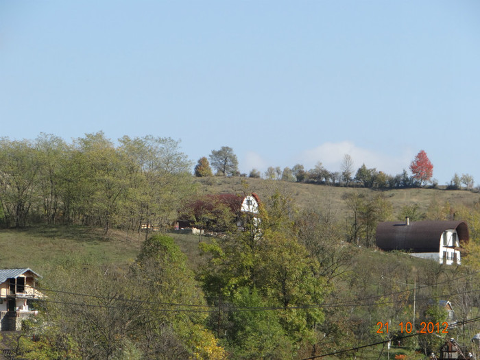 DSC01863 - cosminele toamna