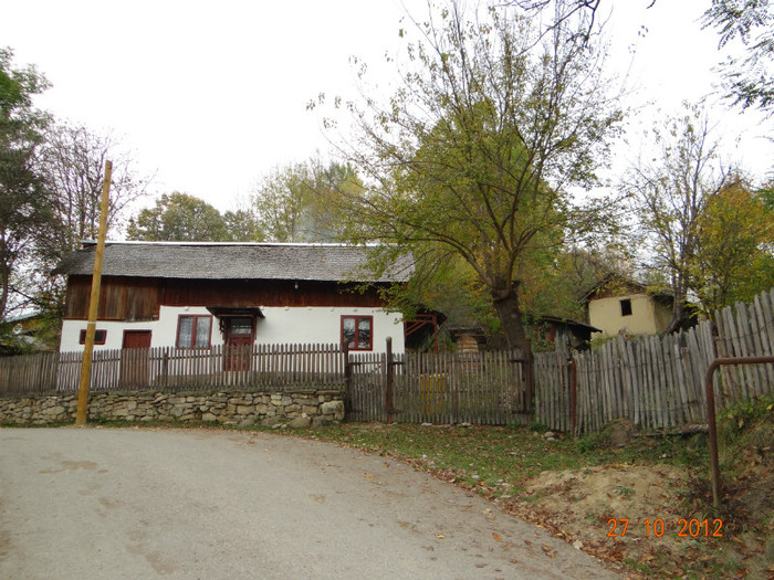 DSC01905 - cosminele toamna