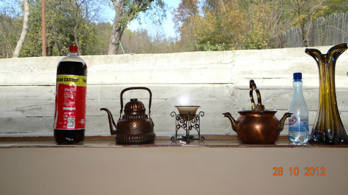 DSC01921 - cosminele toamna