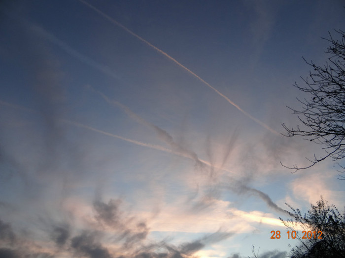 DSC01937 - cosminele toamna