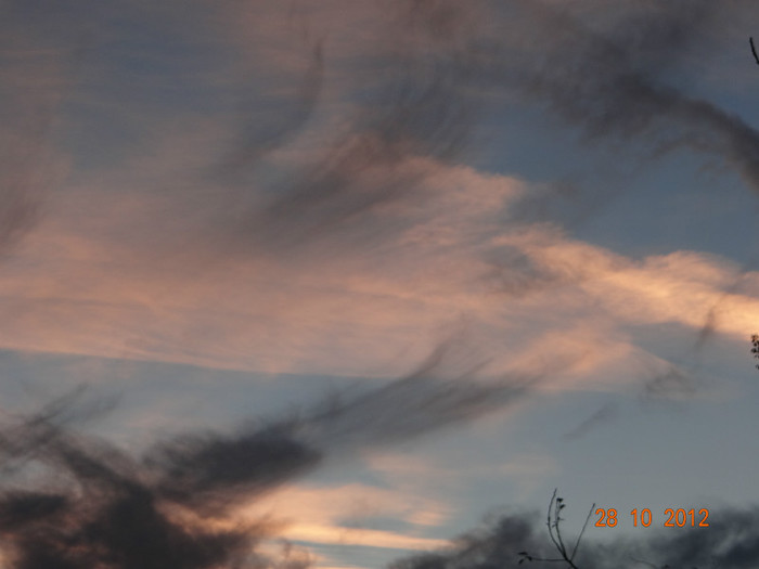 DSC01938 - cosminele toamna