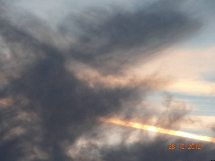 DSC01940 - cosminele toamna