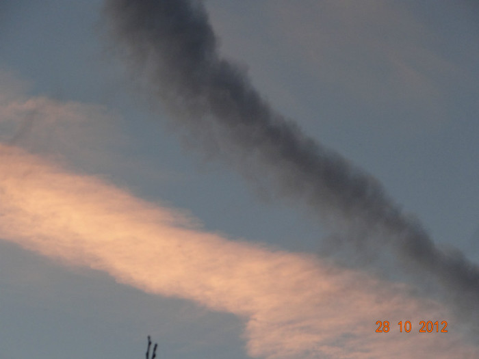 DSC01941 - cosminele toamna