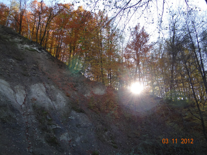 DSC01942 - cosminele toamna