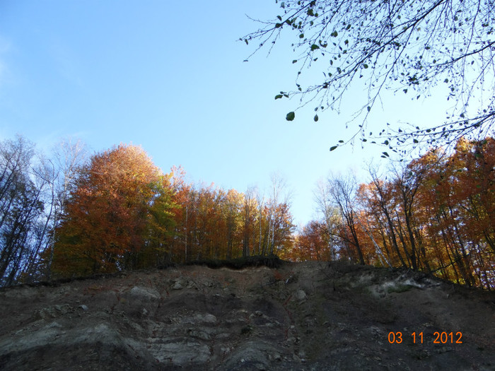 DSC01943 - cosminele toamna