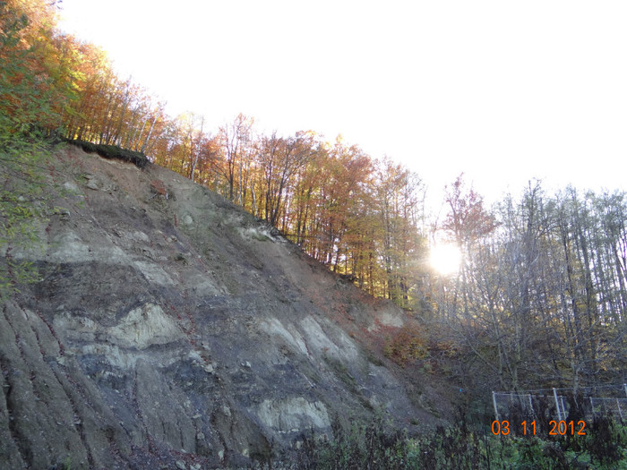 DSC01944 - cosminele toamna