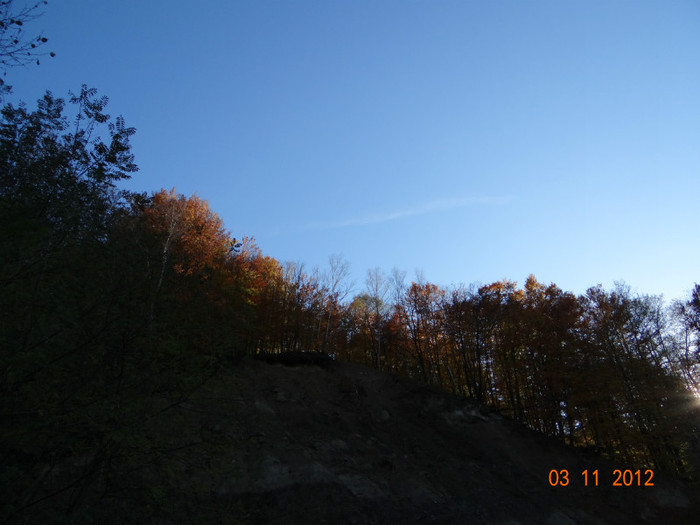DSC01945