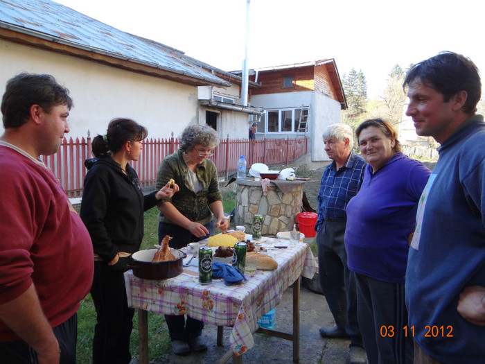 DSC01959 - cosminele toamna