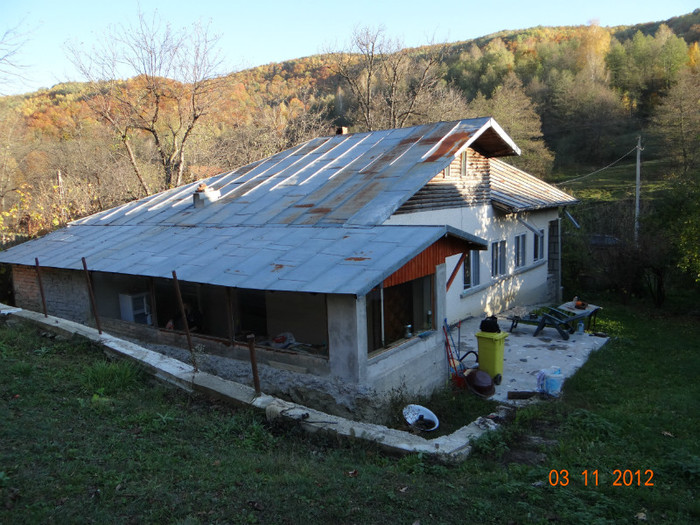 DSC01962 - cosminele toamna