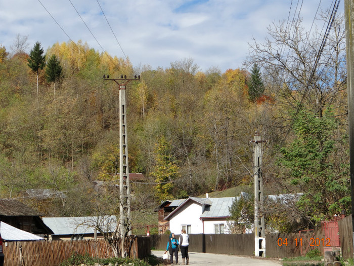 DSC01990 - cosminele toamna