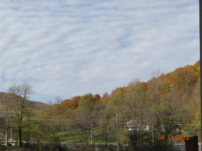 DSC01991 - cosminele toamna