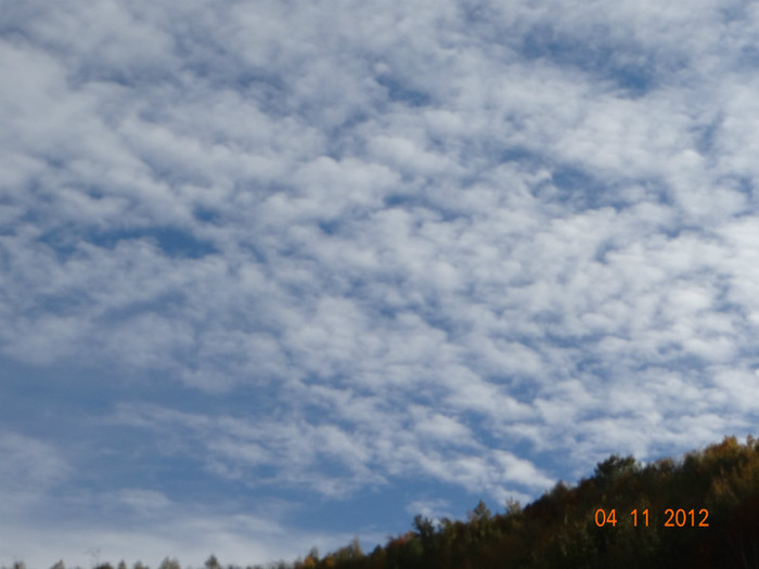 DSC01994 - cosminele toamna