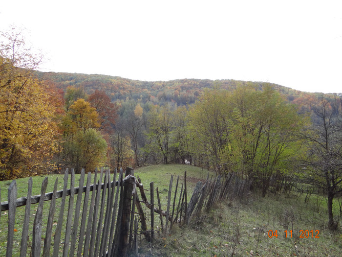 DSC02008