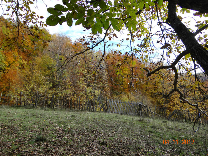 DSC02010