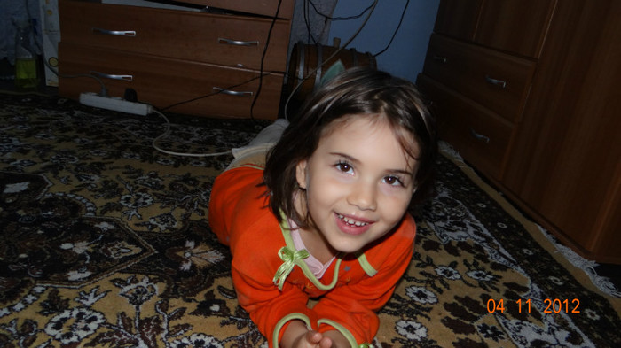 DSC02122 - cosminele toamna