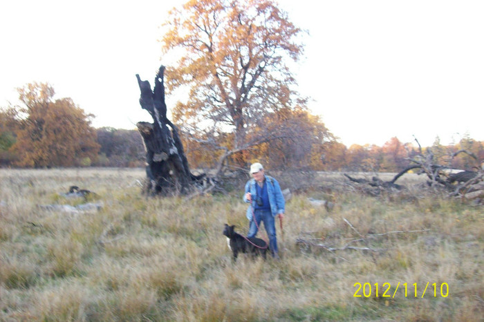 101_1837....PRIN  "SAVANA " PASIM CU GREU DE IERBURI MARI ,CRENGI,MUSUROAIE ,HARTOAPE .....