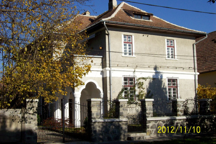 101_1699 - toamna tarzie  in 2012