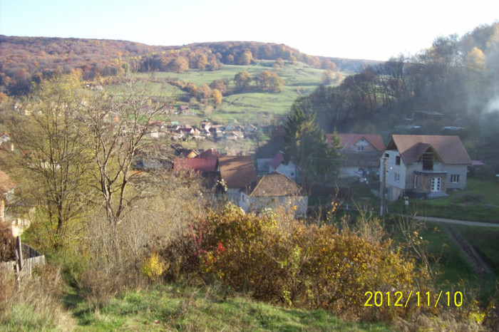 101_1726 - toamna tarzie  in 2012