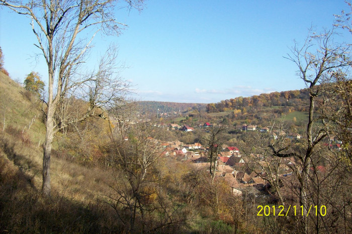 101_1728 - toamna tarzie  in 2012