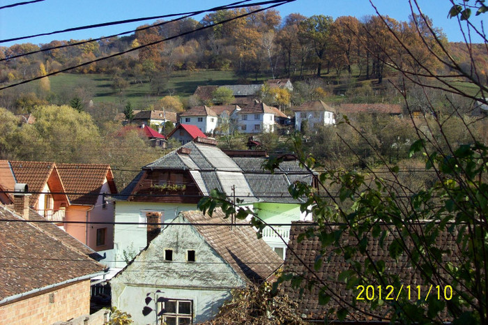 101_1718 - toamna tarzie  in 2012