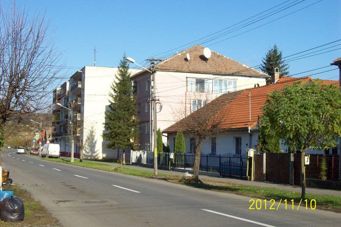101_1716 - toamna tarzie  in 2012
