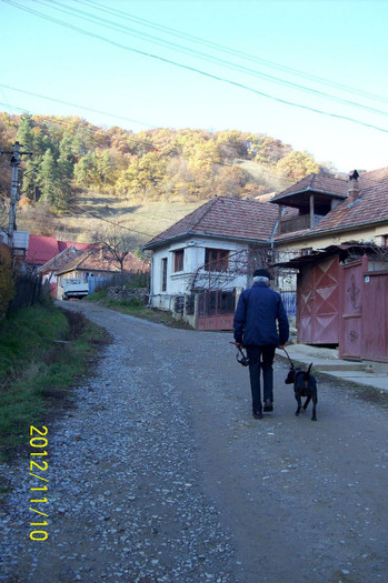 101_1720 - toamna tarzie  in 2012