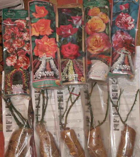 poza butasi; butasii de trandafiri sunt ambalati ca in foto si au peste 30 cm.
