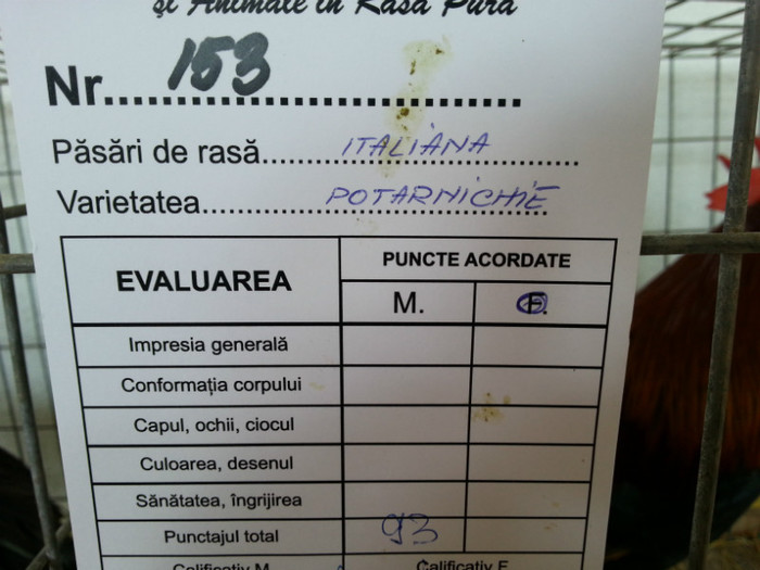 20121110_111706 - Gaina Italiana potarnichie