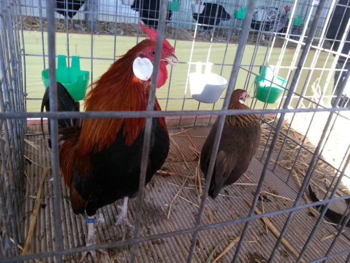 20121110_113546