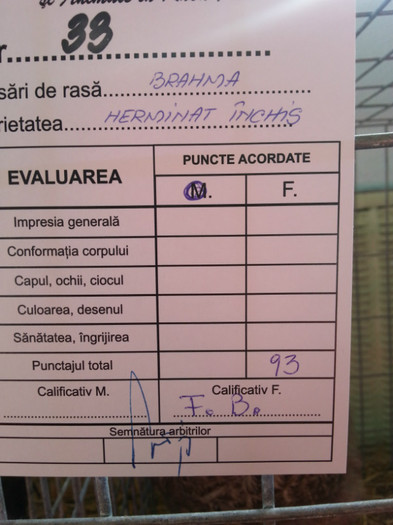 20121110_114018