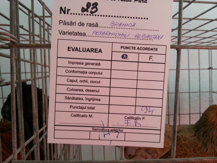 20121110_114111