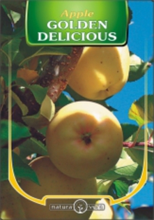 MAR GOLDEN DELICIOUS - pomi fructiferi de vanzare
