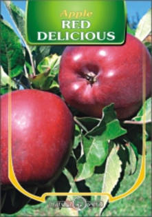 MAR RED DELICIOUS; 170 cm.
