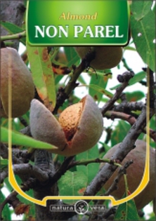 MIGDAL NON PAREL-30 lei - pomi fructiferi de vanzare