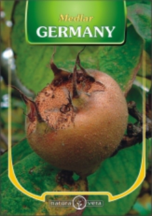 MOSMON-GERMANY-30 lei - pomi fructiferi de vanzare