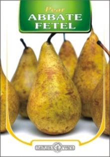 PAR ABBATE FETEL - pomi fructiferi de vanzare