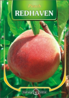 PIERSIC REDHAVEN - pomi fructiferi de vanzare
