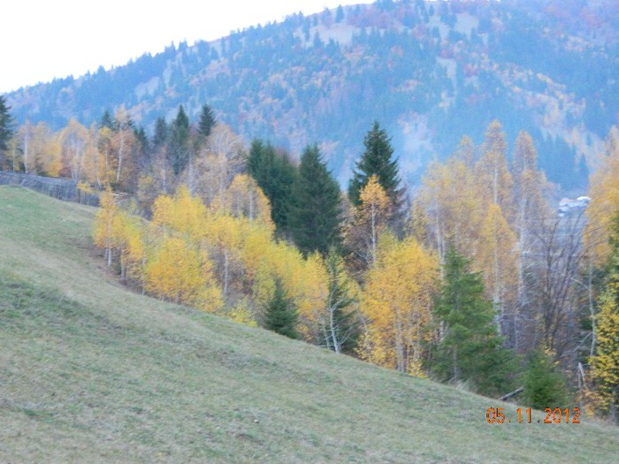 Pe dealul din fata casei - Vacanta toamna 2012