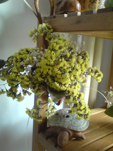 "umbrelutza" cu saraturica galbena - Aranjamente florale si Terrarium