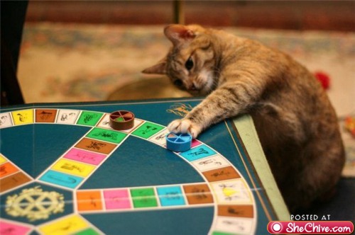 Untitled36 - CURIOZITATI DE WEEKEND