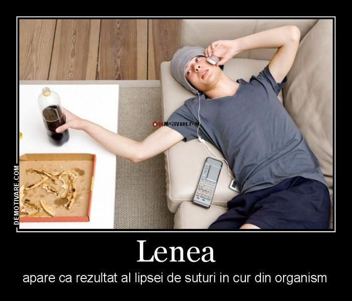 5843_lenea