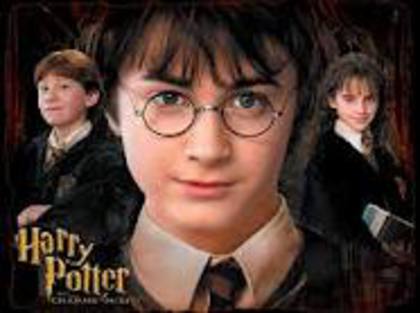 5 - HARRY POTER