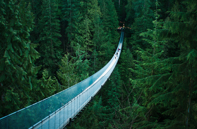Podul Capilano, Vancouver , British Columbia image005 - LOCURI CARE ITI TAIE RESPIRATIA