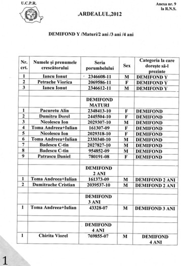 demif palm - Liste cu porumbeii participanti