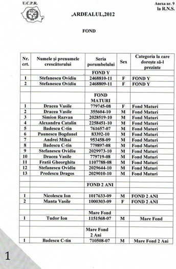 fond m fond - Liste cu porumbeii participanti